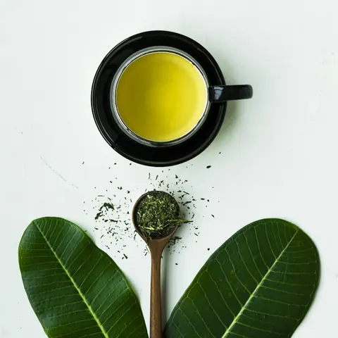 Thé vert