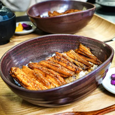 Donburi salmon
